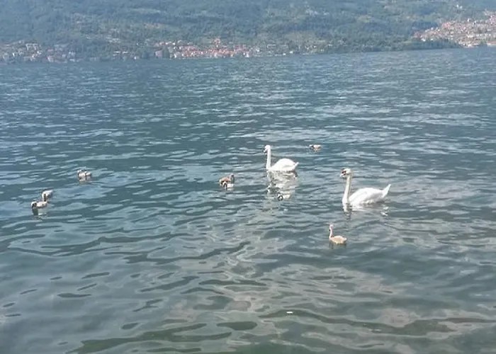 Appartamento Vista Lago - Betta