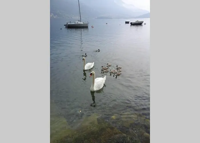 Appartamento Vista Lago - Betta